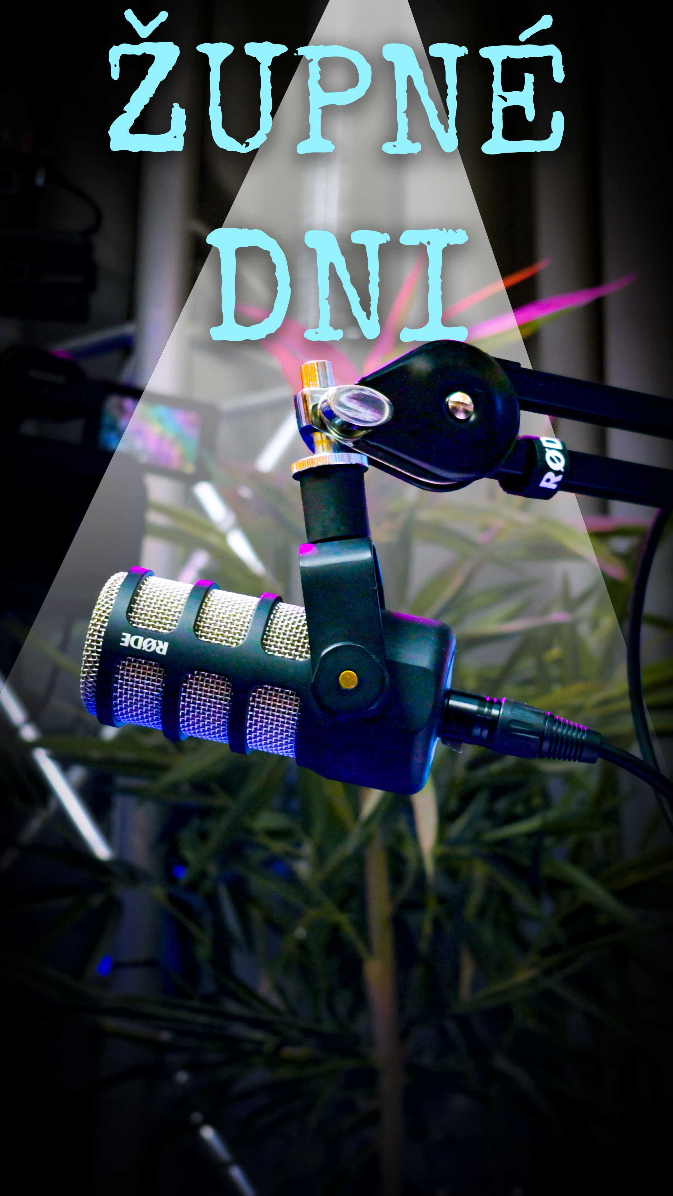 Dni Župných Škôl project preview
